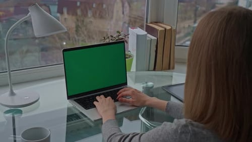 Businesswoman Works at Home Office