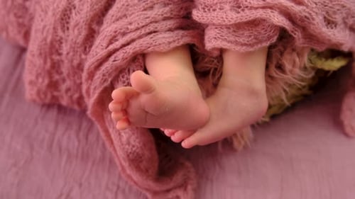 Tiny Infant Feet Covered in a Pink Blanket