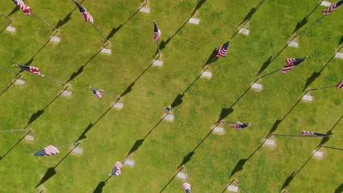 Rising aerial view of over 50 American flags in rows