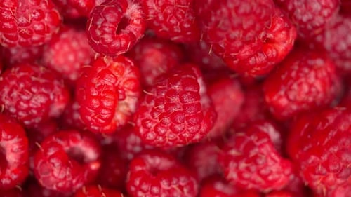 Nahaufnahme Rotation Himbeere Makro Rote Frische Himbeeren