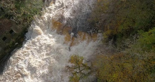 Powerful Waterfall Rushes Through a Green Wilderness