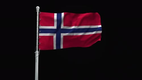 Waving Norway Flag on Pole Realistic Loop