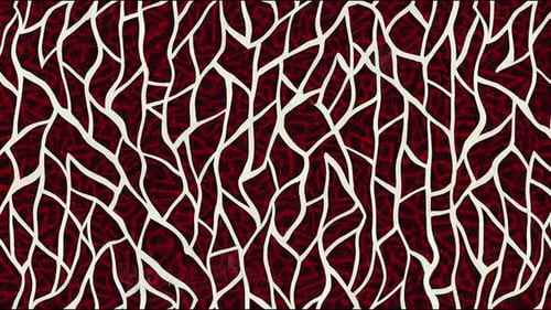 Ajrakh Animation and Block Print Animation and Batik Print