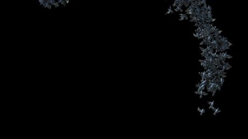 Swarm of Flying Bats Circular Animation Overlay