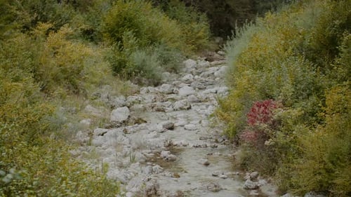 Pure Fresh Water Stream In Mountains Clean Water River Flowing