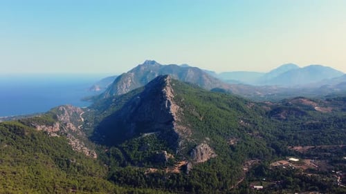 Aerial view of green pine forests and mountains