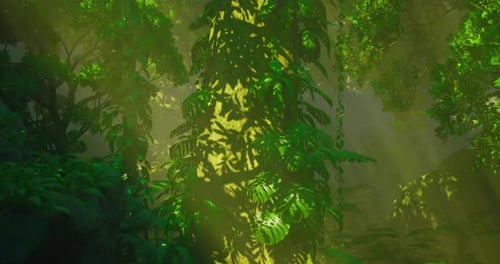 Sunlight Filters Through Leaves Over a Tall Green Plant in the Jungle