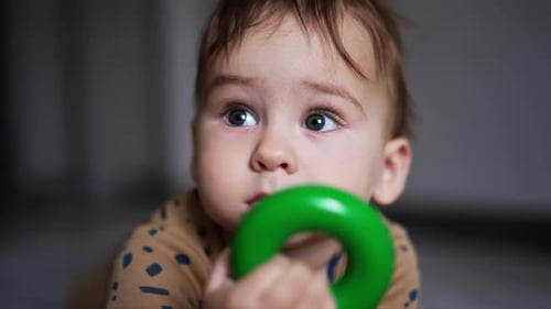 Cute little kid with lovely cheeks lies on the floor holding a toy. Baby takes a toy into his mouth.
