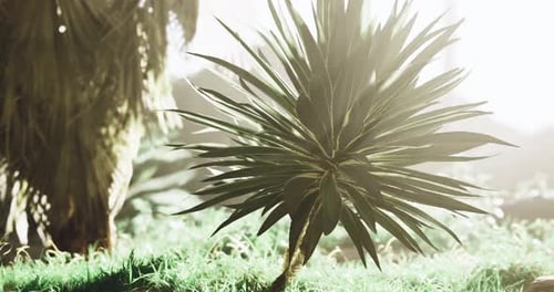 Lush Green Plants Basking in Sunlight in a Vibrant Outdoor Space