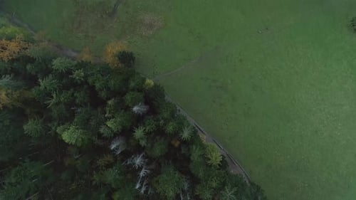 Aerial top-down view over green woodland and surrounding landscape