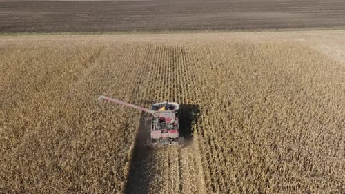 Combine Harvester Harvesting Corn Crop Farm Field, Aerial