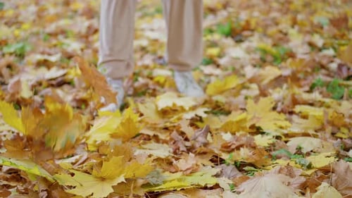Close Up Feet in White Boots Walk on the Autumn Foliage with Golden Leaves