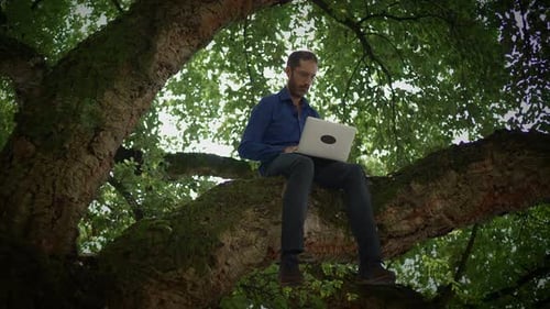 Working Remotely Surrounded By Nature A Man Sitting on a Tree Branch While Using a Laptop