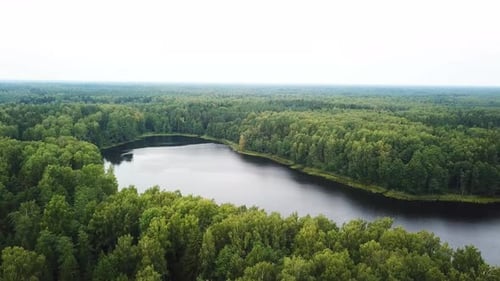 Beautiful Summer Landscape Of Sosno Lake