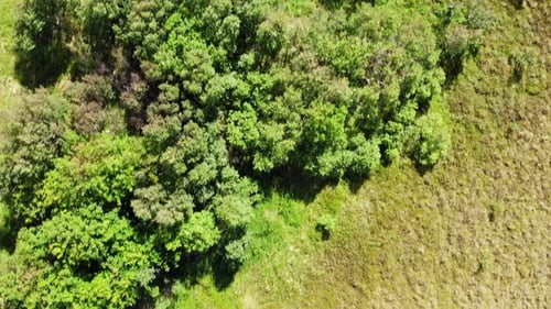 Area With Swamp, Marsh, Bog On Lofoten Norway