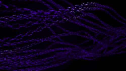 Cluster of Purple Lights in Dark Background