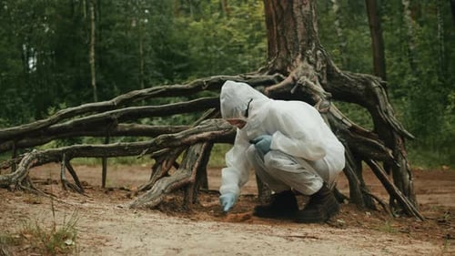 Taking Probe of Soil in Forest Geologist Man Worker Taking Measurements of Soil Probe By Scientific
