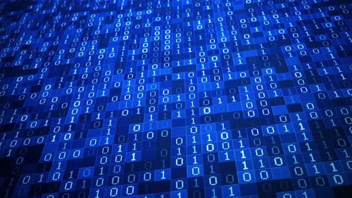 Binary Matrix Data 3