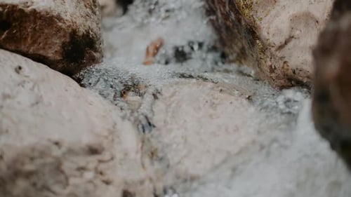 Pure Fresh Water Stream In Mountains Clean Water River Flowing