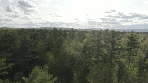 Drone shot flying forwards, over a forest with sunlight reflecting on the camera.