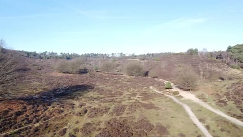 Aerial drone shot of big forest national park from above.