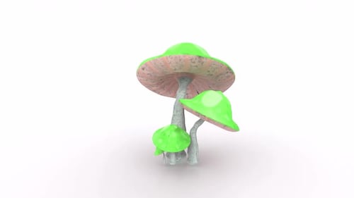 3D Animated Stylized Green Mushrooms Rotation on White
