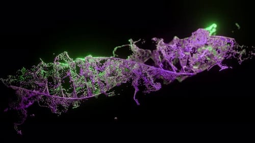 Abstrakte DNA auf schwarzem Hintergrund Violette und grüne DNA-Moleküle DNA-Moleküle in der Chromosomenwissenschaft