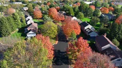 American small town in autumn. Aerial establishing shot of colorful fall trees. High drone shot.