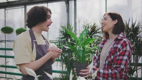 A Male Sales Consultant Gives Advice to the Buyer on Caring for Spathiphyllum A Male Plant Botanist