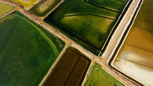 Drone shot from top of local fishing farm with many fishponds