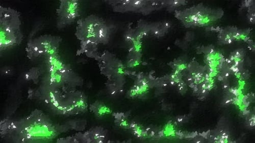 Glowing Green Abstract Organic Liquid Flow Background