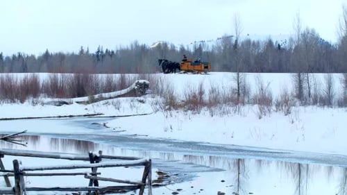 Horses Pull Carriage by a Frozen Pond and Trees in the Snow Active Peole
