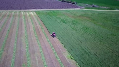 Aerial footage of a Combine harvester harvest a green wheat field