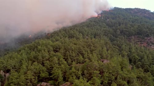 Smoke of a Forest Fire