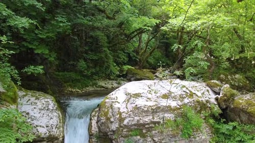 The river is bathed in a magical sunlit glow, embraced by green forest trees and luxuriant greenery,