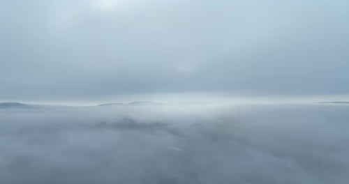 Fog Blankets Forest Landscape From Above