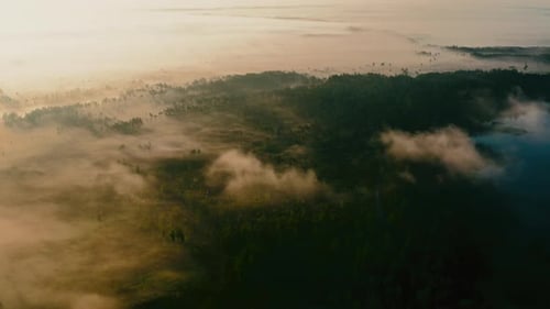 Majestic sunlight falling on forest landscape covered with mist alongside the beautiful lake, Aerial