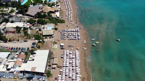 Top down aerial drone view of crowded sandy beach with rows of white umbrellas