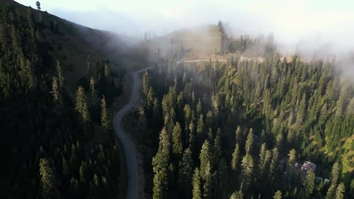 Foggy road in the mountains