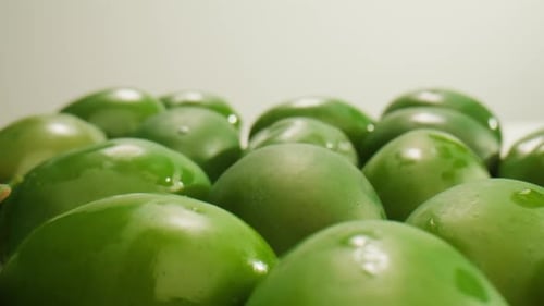 Pickled Round Green Olives From Greece Close Up of Red Black and Green Olive Fermented Spanish