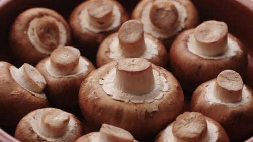 Champignons fraîchement cueillis à la maison, cuisine, gros plan, texture d'un champignon brun, une femme cuisinant savoureusement