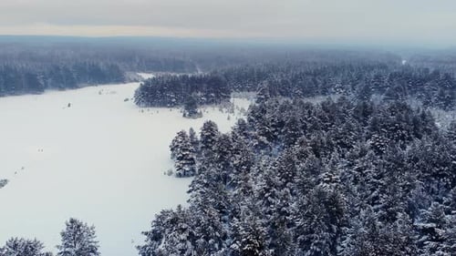 Winter Forest Scene Media Panoramic Drone Shot Of Winter Scene With Snowcovered Trees And Icy