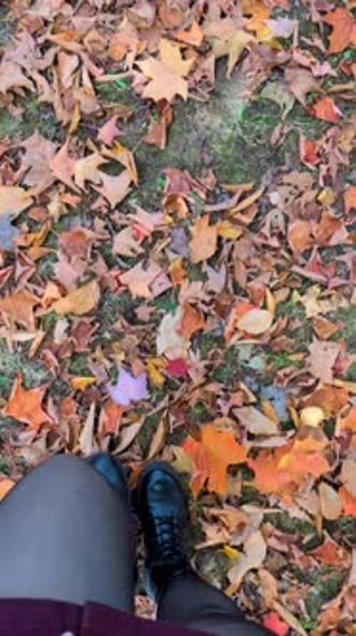 Woman Walks on Colorful Autumn Leaves