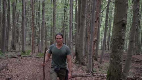Lone Hiker Walking Through Dense Forest
