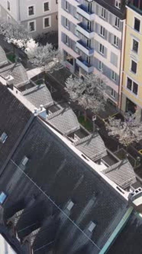 Aerial video of the Bartstrasse blooming in the streets of Zurich