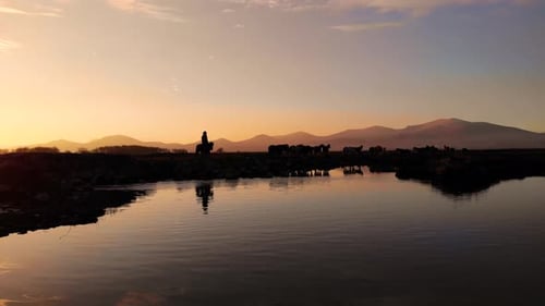 Horses Silhouette at Sunset by the Water