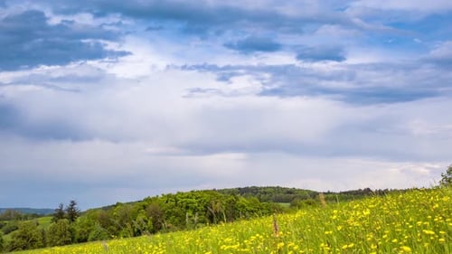 Meadow with Green Grass and Dandelions in a Hilly Valley Under a Cloudy Sky