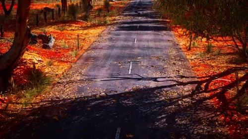 Open Road in Australia with Bush Trees
