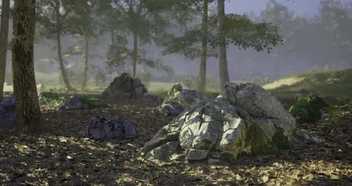 Tranquil Forest Landscape with Sunlight Filtered Through Trees and Rocks