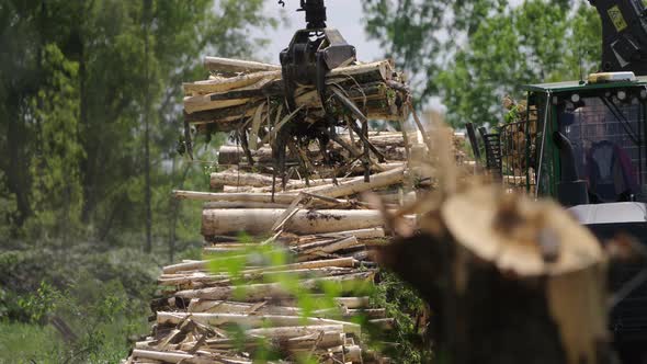Timber Harvesting with Mechanical Arm in Rural Area, Industrial Stock ...